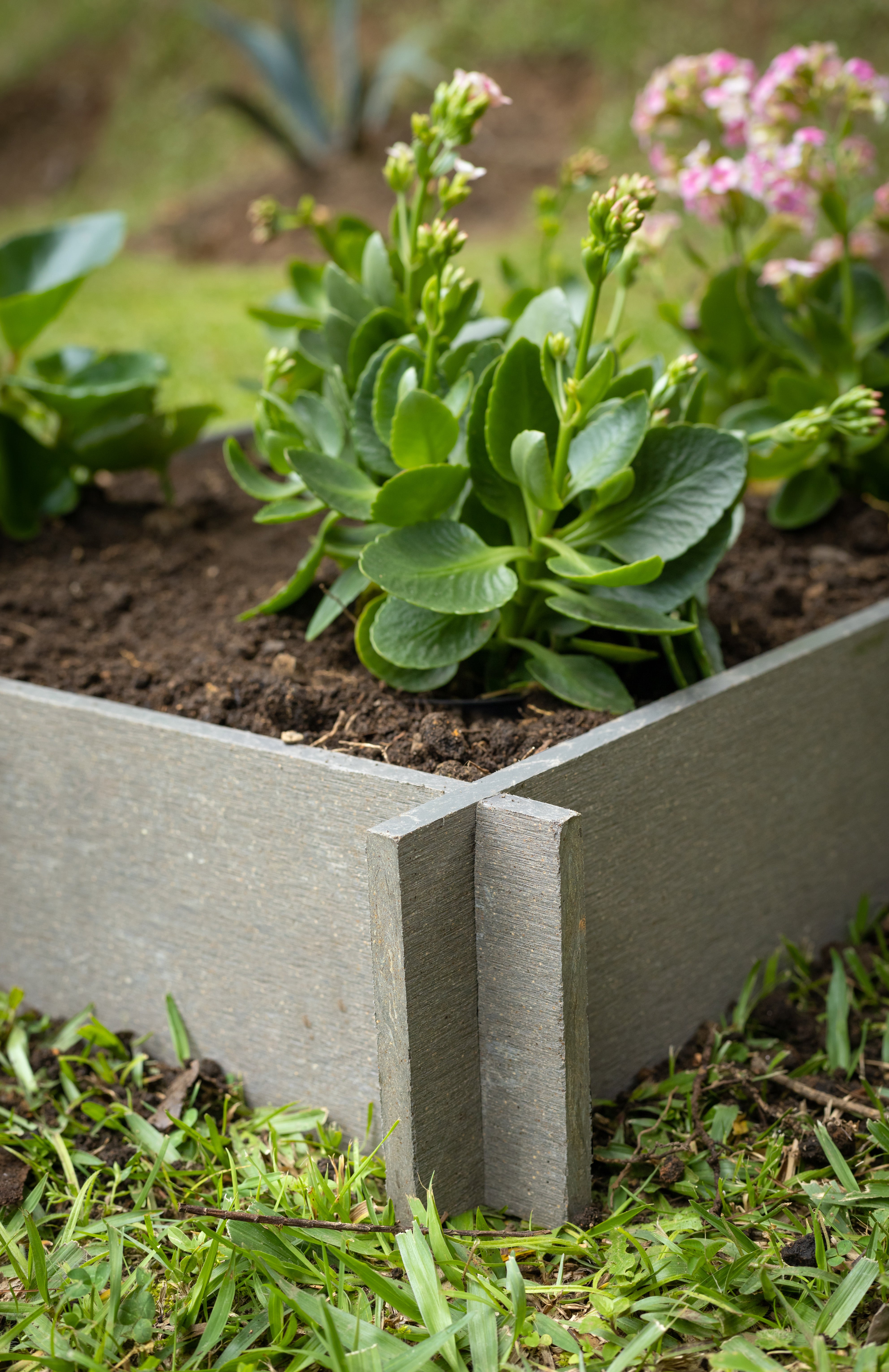 Raised Garden Beds